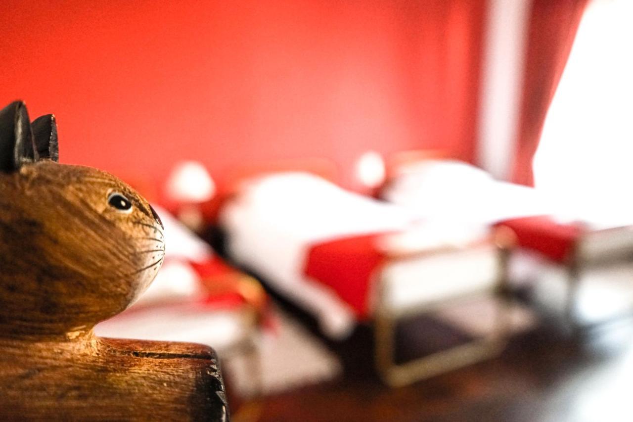 Azores Dream Hostel Ponta Delgada Værelse billede