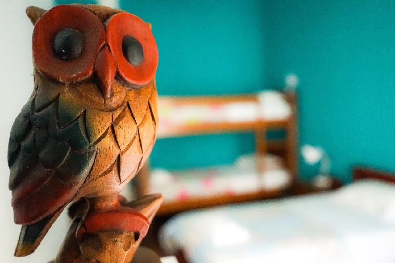 Azores Dream Hostel Ponta Delgada Eksteriør billede